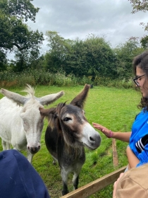 The two donkeys, Betty and Brian